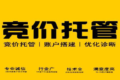 SEM代理助力企业：案例分享，优化策略全解析